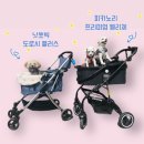펠리체플러스 이미지