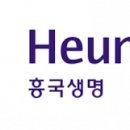 흥국생명 티스토리