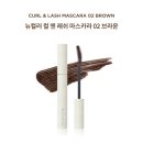 컬러앤래쉬