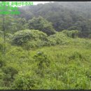 형산리 마을회관 이미지