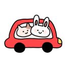 완산애견 이미지