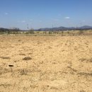 여주-1016 이미지