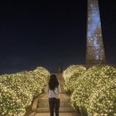 예술夜: 패션과 영화 | 고양시 대표축제 행주街가 예술이夜야 달빛여행 후기