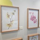 살롱 드 네이처 (SALON DE NATURE)