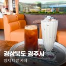 경주 황리단길 카페 레트로감성 양지다방 솔직후기