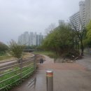 덕풍천서로 이미지