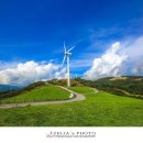 새하얀목장 이미지