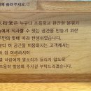 미분당 장안점 | 장한평역 혼밥 맛집 : 미분당 장안점 베트남 쌀국수 추천 내돈내산 솔직 후기