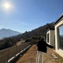 스테이인포시즌 이미지