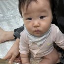 엄마랑 유리드믹스6-11개월 A | 대전 갤러리아타임월드 겨울학기 문화센터 후기(수강 전 고려사항, 수업별 솔직후기표)