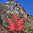 청송고디탕 | 주왕산 단풍투어 후기