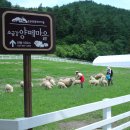 오세요목장 이미지