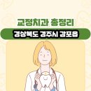 감포치과의원 | 경상북도 경주시 감포읍 교정치과 총정리