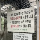 둔산중로-28 | 대전 둔산동 맛집 "대선칼국수 본점" 내돈내산 포장 이용 후기 (feat. 두부두루치기)