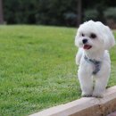 진주보건대학교 이미지