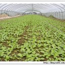 호수농원가든 이미지