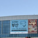 디얼독 | 2026 부산 케이펫페어 벡스코 정보 및 브랜드 추천 방문후기