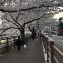 송헤어살롱 - 전주시 덕진구 동부대로 637 | 송헤어살롱