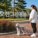 순천 회맛집 오천그린수산 모듬회 물회 회덮밥 점심메뉴 후기