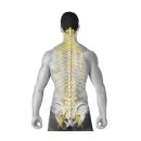 부암한의원 이미지