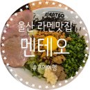 멘테오 이미지