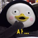 엘 스킨
