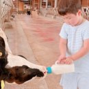 윤미농장 이미지