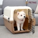 펫니즈