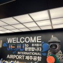 제주오누이 <b>제주</b> <b>오누이</b>찐빵 예약없이 당일 바로 구매후기