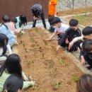 진주텃밭 이미지