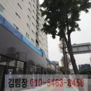 중앙블리체 이미지