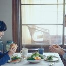 포레스트 이미지