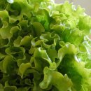 온천농장 이미지