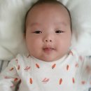 재우목장 Daum카페