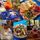 강릉포레스트 이미지