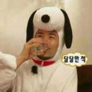 팅팅