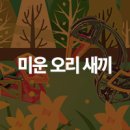 백조미니슈퍼