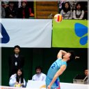 도화체육관 이미지