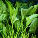 오기농장 이미지