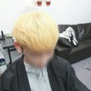 블란도헤어