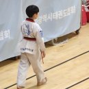 필 태권도장 | 2024년도 광주지구 국기원 제2차 승품심사 참가 후기