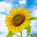 서면 동산 생태공원 이미지