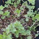 경자농장 이미지