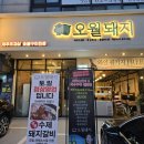 오월돼지 이미지
