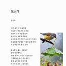모성애 이미지