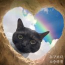 누구보다 소중하개 이미지