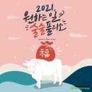 하루샐러드