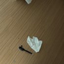 빠꼬미청소 후기 내돈내산 비추&amp;무책임..🤬