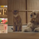 주식회사 펫푸드 이미지