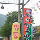 금강교옆 공원 이미지